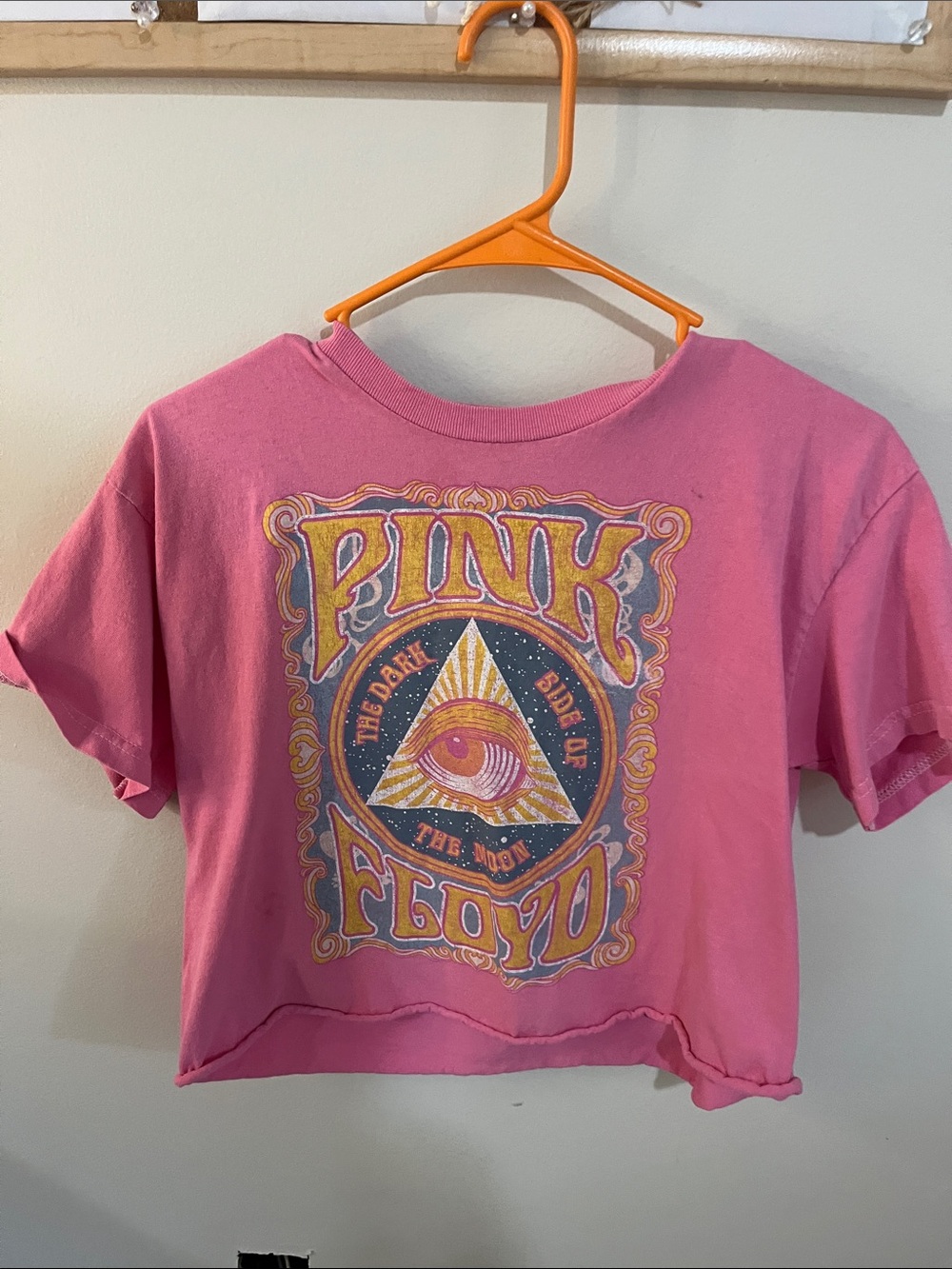 Pink Floyd Pink Graphic Crop Tee